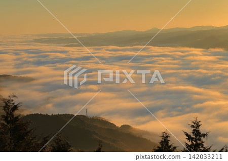 Sea of clouds Sea of clouds 142033211