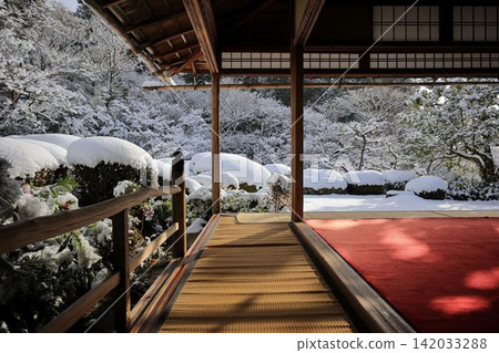 雪地 142033288
