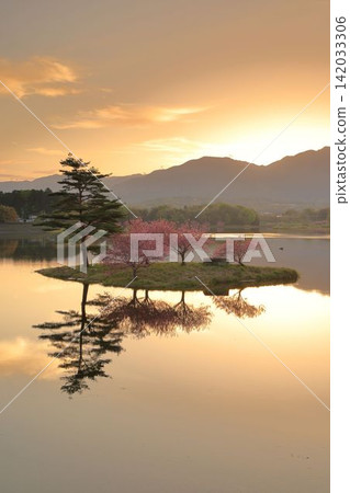 Sunrise Sunrise 142033306