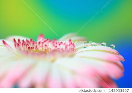 Water droplets Water droplets 142033307