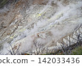 箱根大涌谷壯觀的噴射孔和山坡：壯觀的火山景觀。 142033436