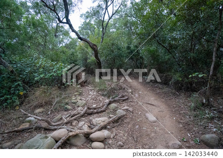 Scenery from the hiking route of Huoyan Mountain, Taiwan's 35th Little Peak. Scenery from the hiking route of Huoyan Mountain, Taiwan's 35th Little Peak. 142033440