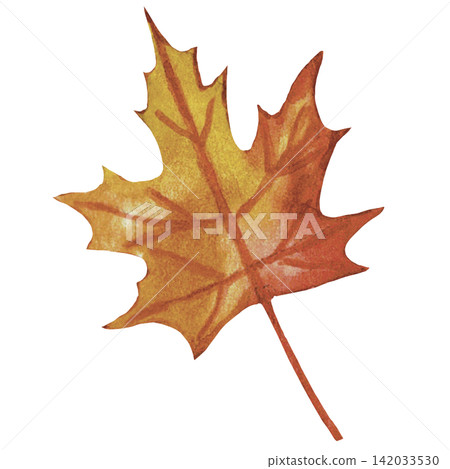 Orange Maple Leaf Autumn Halloween Illustration Orange Maple Leaf Autumn Halloween Illustration 142033530