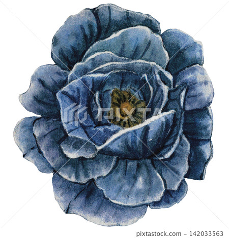 Blue Dahlia Flower Halloween Watercolor Illustration Blue Dahlia Flower Halloween Watercolor Illustration 142033563