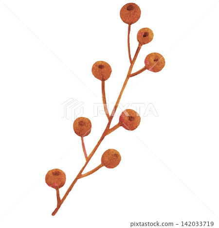 Autumn Berry Branch Watercolor Illustration for Halloween Decoration Autumn Berry Branch Watercolor Illustration for Halloween Decoration 142033719
