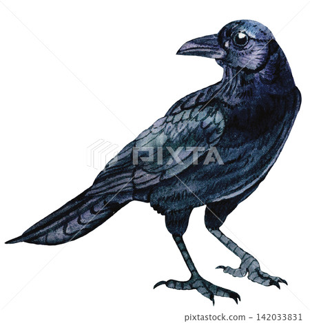 Halloween Black Raven Watercolor Illustration with Dark Gothic Atmosphere Halloween Black Raven Watercolor Illustration with Dark Gothic Atmosphere 142033831