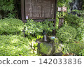 箱根神社分社玉雨神社的玉雨泉水。 142033836