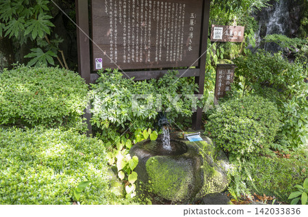 箱根神社分社玉雨神社的玉雨泉水。 箱根神社分社玉雨神社的玉雨泉水。 142033836