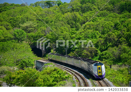 紀波261號「北斗」特快列車沿著室蘭本線行駛,周圍環繞著春天的清新綠意。 紀波261號「北斗」特快列車沿著室蘭本線行駛,周圍環繞著春天的清新綠意。 142033838