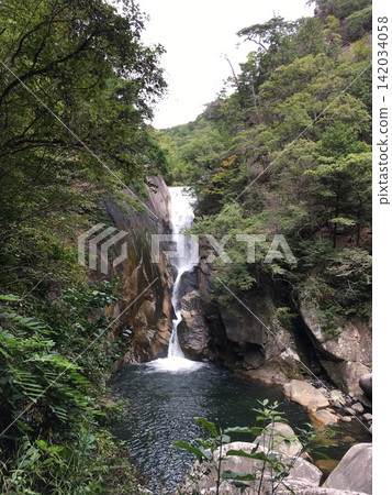 山梨縣昭泉峽的瀑布和峽谷被綠樹環繞 142034058