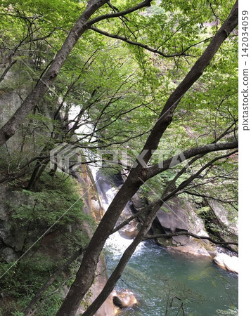 山梨縣昭泉峽，山谷四周綠樹環繞，景色優美。 142034059
