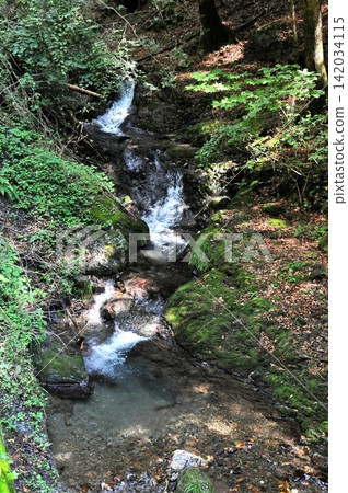 A hidden gem for stream fishing: Kurosakaishi River, a tributary of the Watarase River. 142034115