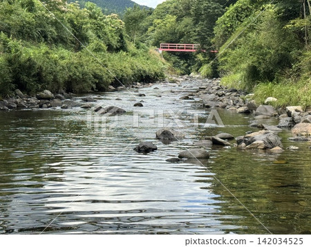夏天,清澈的溪流,在河裡玩耍 夏天,清澈的溪流,在河裡玩耍 142034525