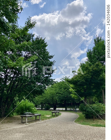 一條設有公園長椅的小路 一條設有公園長椅的小路 142034606
