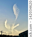 Clouds with fantastical shapes spreading across the sky (a miracle, rare clouds, the beauty of nature's creations) 142034620