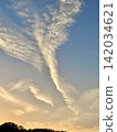 Clouds resembling wings soaring high in the sky (images of progress, success, and the future) 142034621