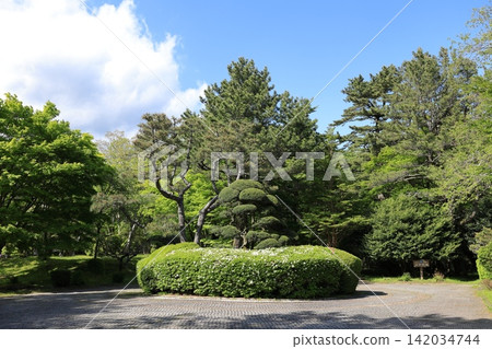 神奈川縣箱根町箱根花園 神奈川縣箱根町箱根花園 142034744