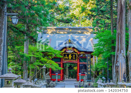 11月初一個晴朗的早晨，靜謐森林中的三峰神社瑞神門呈現出一幅神聖而寧靜的景象。 142034750