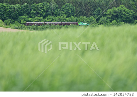 「富良野美英野樂車」列車沿著富良野線行駛,背景是麥田。 「富良野美英野樂車」列車沿著富良野線行駛,背景是麥田。 142034788