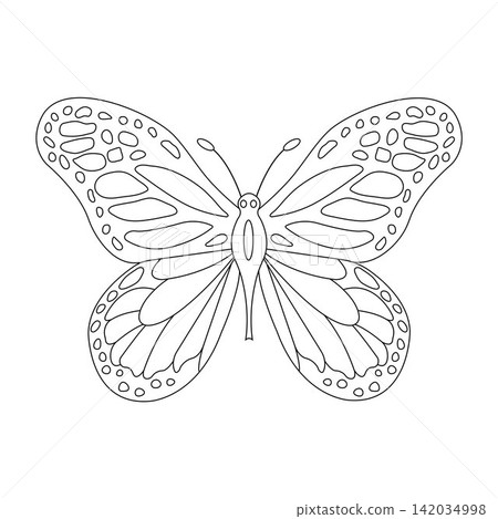 monarch butterfly line art vector illustration isolated on white background for coloring page 142034998