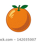 fresh orange fruit vector illustration with green stem and leaves isolated on white background 142035007