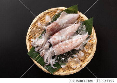 [新潟縣] 紅魷魚（劍尾魷魚） 142035395