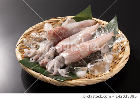[新潟縣] 紅魷魚（劍尾魷魚） 142035396