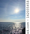 Sunlight shimmering on the sea surface and the vast horizon (vertical composition, sea light) 142035458