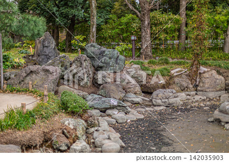 A garden landscape where the arrangement of exquisite stones with diverse appearances harmonizes with the bamboo grove. Kiyosumi Garden, March 2024. A garden landscape where the arrangement of exquisite stones with diverse appearances harmonizes with the bamboo grove. Kiyosumi Garden, March 2024. 142035903
