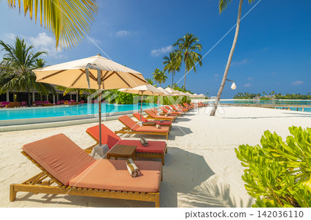 Inviting poolside sunbeds parasol swaying palms beside vivid azure infinity pool bright blue sky. Luxury travel resort paradise scenic. Exotic honeymoon getaway wallpaper decor Inviting poolside sunbeds parasol swaying palms beside vivid azure infinity pool bright blue sky. Luxury travel resort paradise scenic. Exotic honeymoon getaway wallpaper decor 142036110