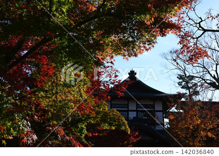[京都] 永觀堂的紅葉 142036840