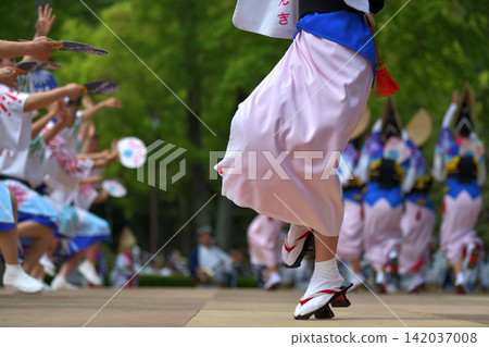 Awa Odori (Awa Dance Festival) - Tokushima City - Female dancers from famous dance troupes Awa Odori (Awa Dance Festival) - Tokushima City - Female dancers from famous dance troupes 142037008