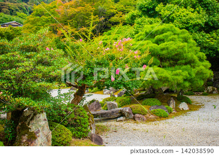 Yuzen Garden: A luxurious experience of spending a tranquil moment in a renowned garden from the Showa era. Yuzen Garden: A luxurious experience of spending a tranquil moment in a renowned garden from the Showa era. 142038590