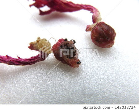 Corademononis seeds Corademononis seeds 142038724