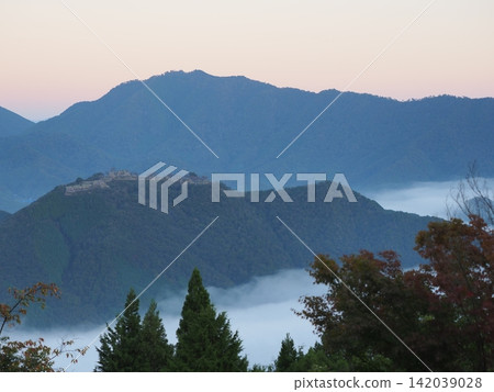 Takeda Castle Ruins floating in the morning sky and sea of clouds 142039028