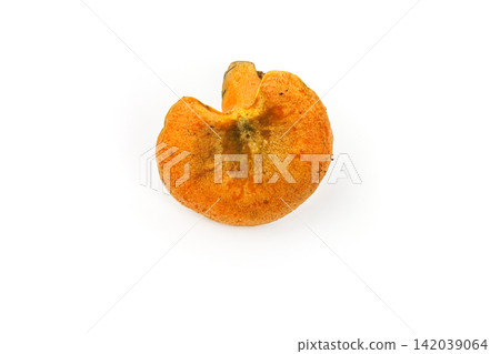 Single edible saffron milkcap mushroom, Lactarius deliciosus, viewed from above and isolated on a white background with generous copy space. Single edible saffron milkcap mushroom, Lactarius deliciosus, viewed from above and isolated on a white background with generous copy space. 142039064