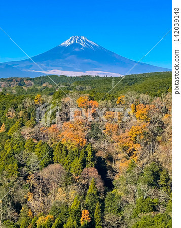 從三島天空步道欣賞秋季富士山 142039148