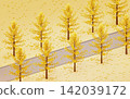 A row of ginkgo trees shining in yellow 142039172