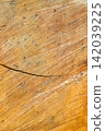Wood grain texture with scratch mark and natural crack creating warm rustic surface 142039225