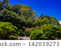 Yuzen Garden: A luxurious stroll through a famous garden from the Showa era on a sunny day. Yuzen Garden: A luxurious stroll through a famous garden from the Showa era on a sunny day. 142039273