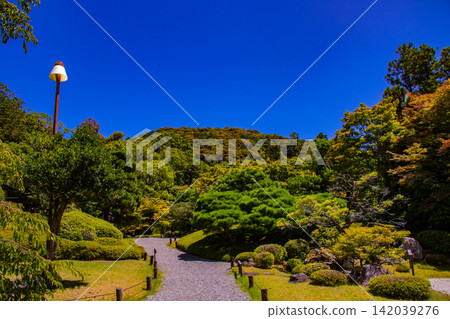 Yuzen Garden: A luxurious stroll through a famous garden from the Showa era on a sunny day. Yuzen Garden: A luxurious stroll through a famous garden from the Showa era on a sunny day. 142039276