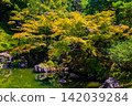 Yuzen Garden: A luxurious stroll through a famous garden from the Showa era on a sunny day. Yuzen Garden: A luxurious stroll through a famous garden from the Showa era on a sunny day. 142039284