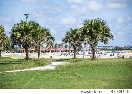 A tropical seaside park and beach bustling under the summer sky. A tropical seaside park and beach bustling under the summer sky. 142039296