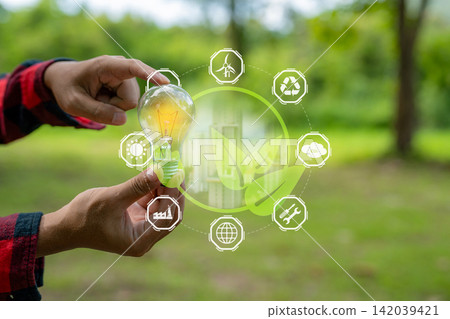 Hand holding a light bulb over green leaves, renewable energy, sustainability, clean power, environmental protection, and future. Hand holding a light bulb over green leaves, renewable energy, sustainability, clean power, environmental protection, and future. 142039421