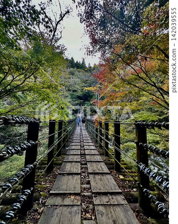 Bridge in autumn leaves Bridge in autumn leaves 142039555