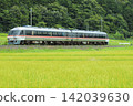 盛夏時節，KTR8500系列列車行駛在宮都線上，穿梭於令人驚嘆的深綠色和鮮豔的翠綠色稻田之間。 142039630
