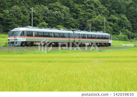 盛夏時節,KTR8500系列列車行駛在宮都線上,穿梭於令人驚嘆的深綠色和鮮豔的翠綠色稻田之間。 盛夏時節,KTR8500系列列車行駛在宮都線上,穿梭於令人驚嘆的深綠色和鮮豔的翠綠色稻田之間。 142039630