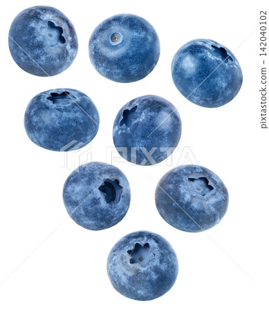 Ripe blue berries isolated. Blueberry isolated collection, set Ripe blue berries isolated. Blueberry isolated collection, set 142040102