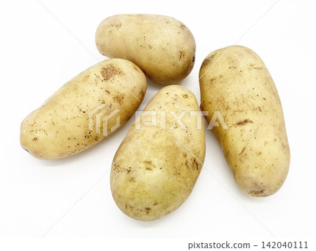 Potato image, May Queen potato photo material Potato image, May Queen potato photo material 142040111