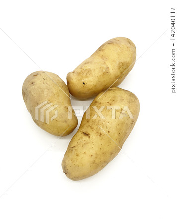 Potato image, May Queen potato photo material Potato image, May Queen potato photo material 142040112